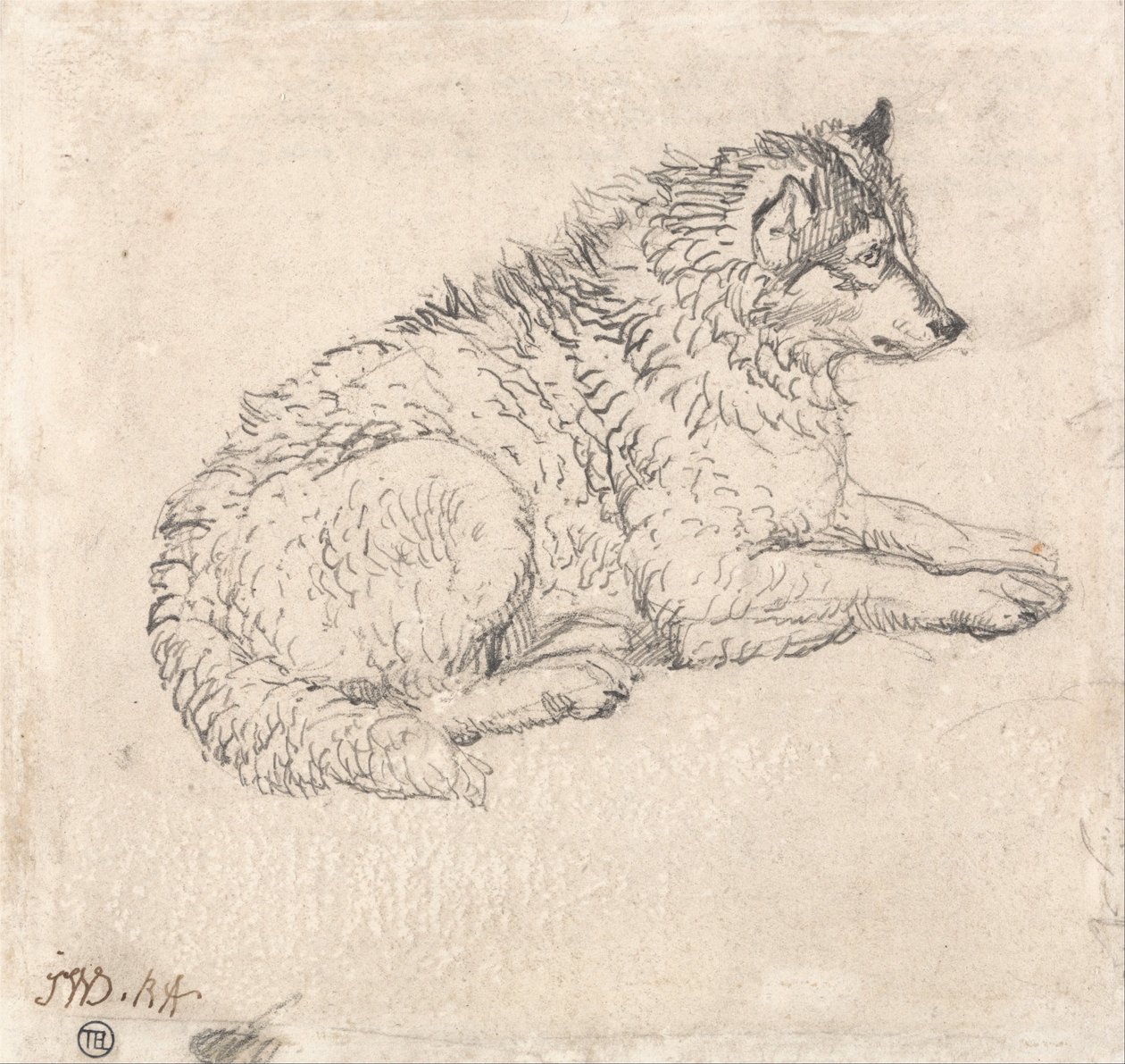 Chien arctique, face à la droite - James Ward