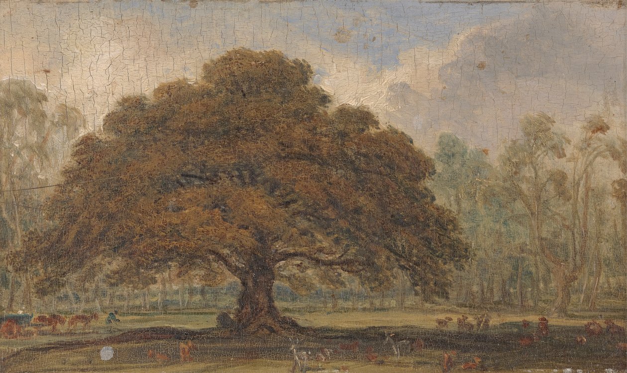 Paysage avec des cerfs sous 