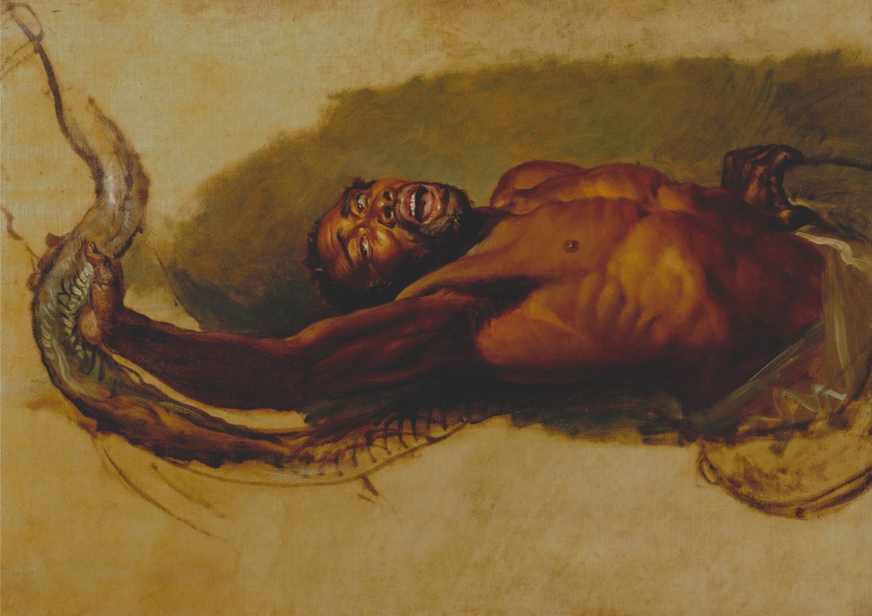 Homme aux prises avec un Boa Constrictor, étude pour "Le serpent de Liboya saisissant sa proie". - James Ward