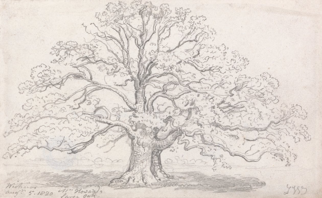 Le grand chêne de M. Howard, 5 août 1820 - James Ward