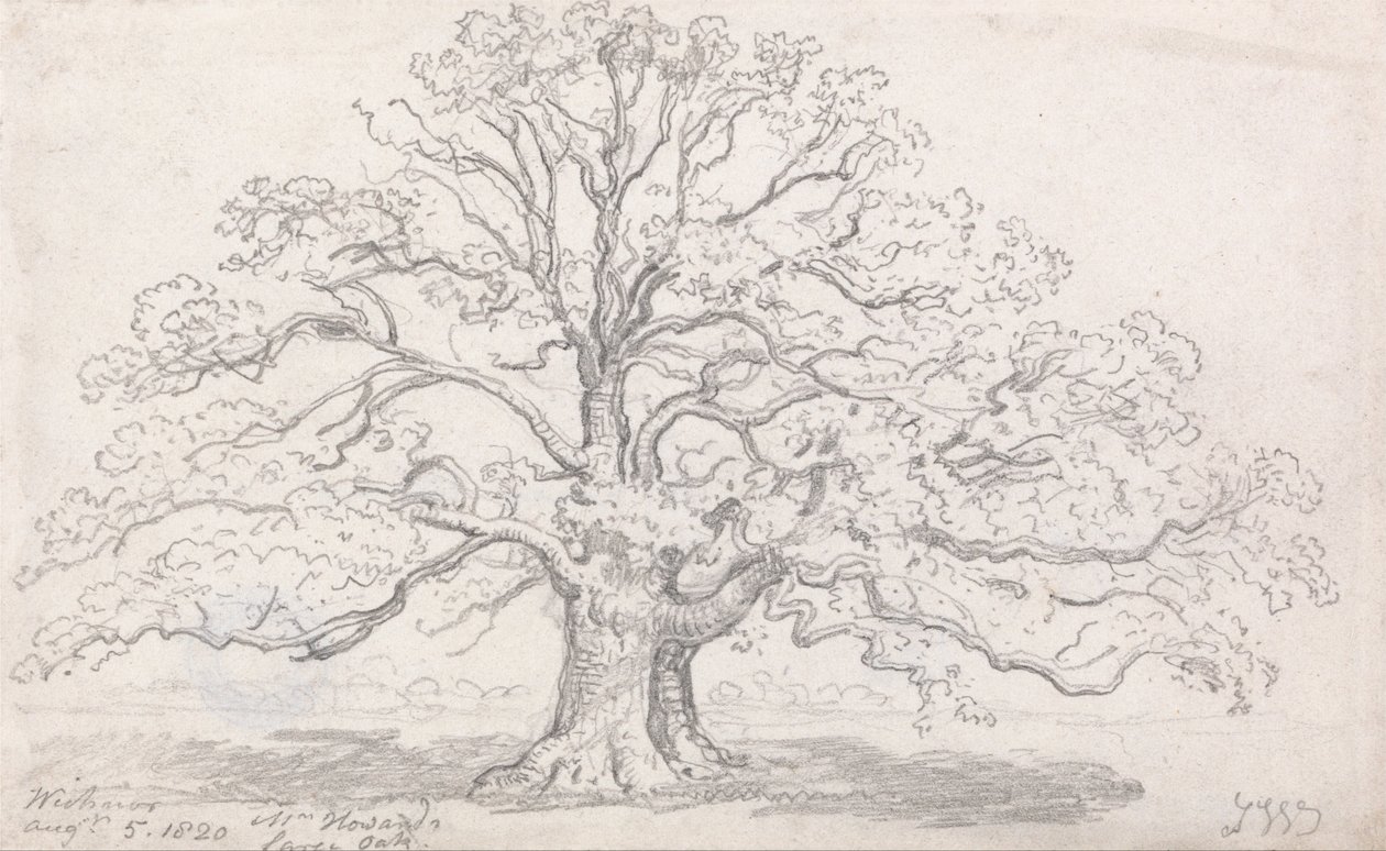 Le grand chêne de M. Howard, 5 août 1820 - James Ward