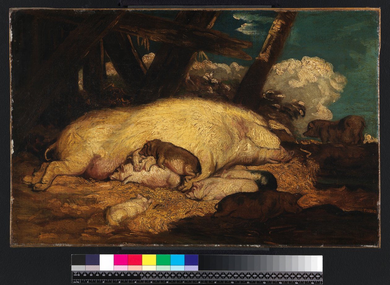 Cochons, pas avant 1793 - James Ward
