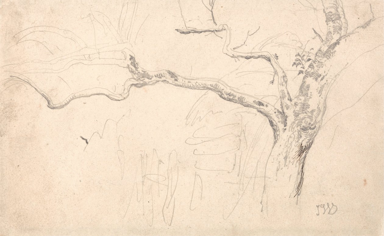 Étude sur les arbres - James Ward
