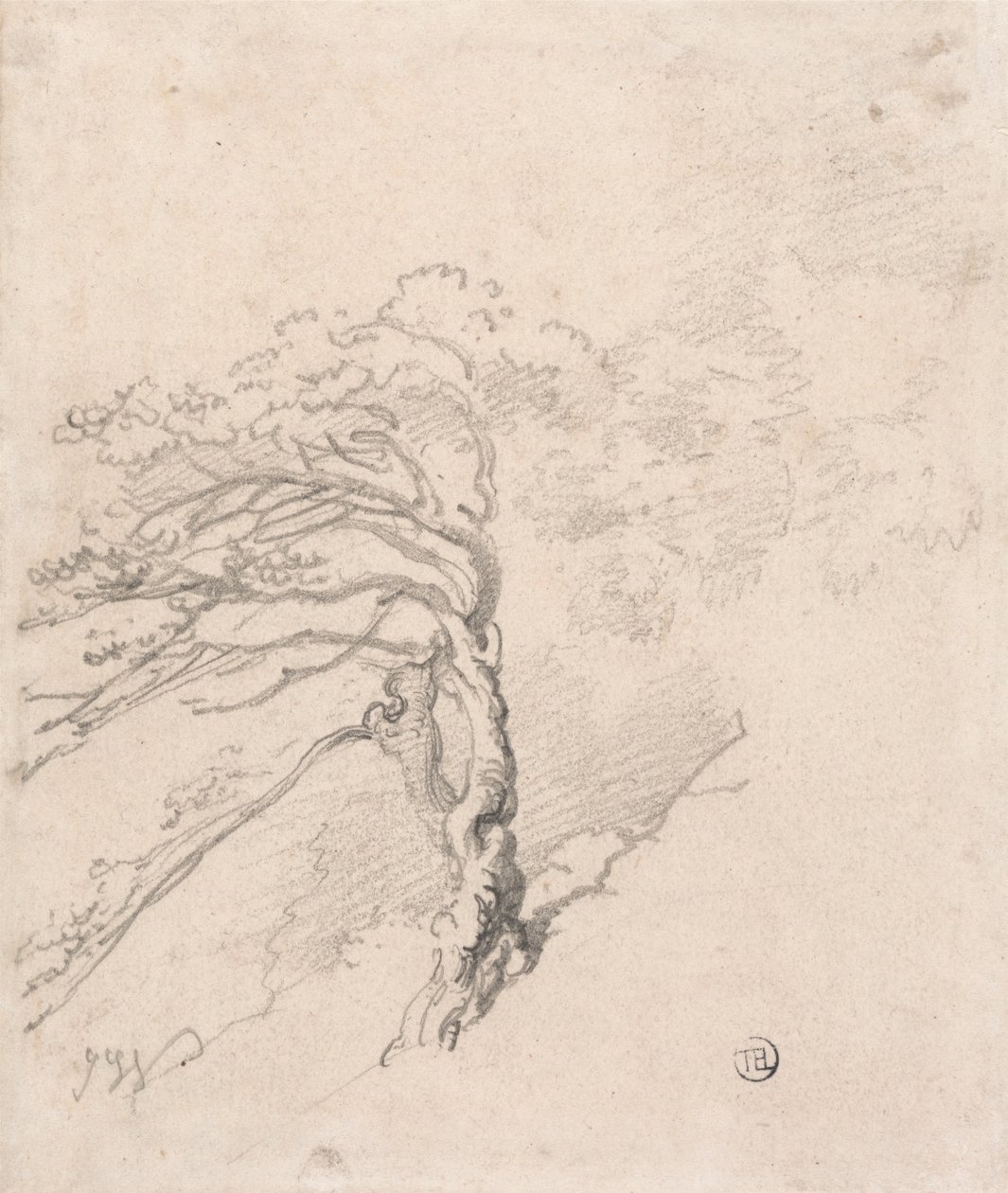 Arbre sur une colline - James Ward