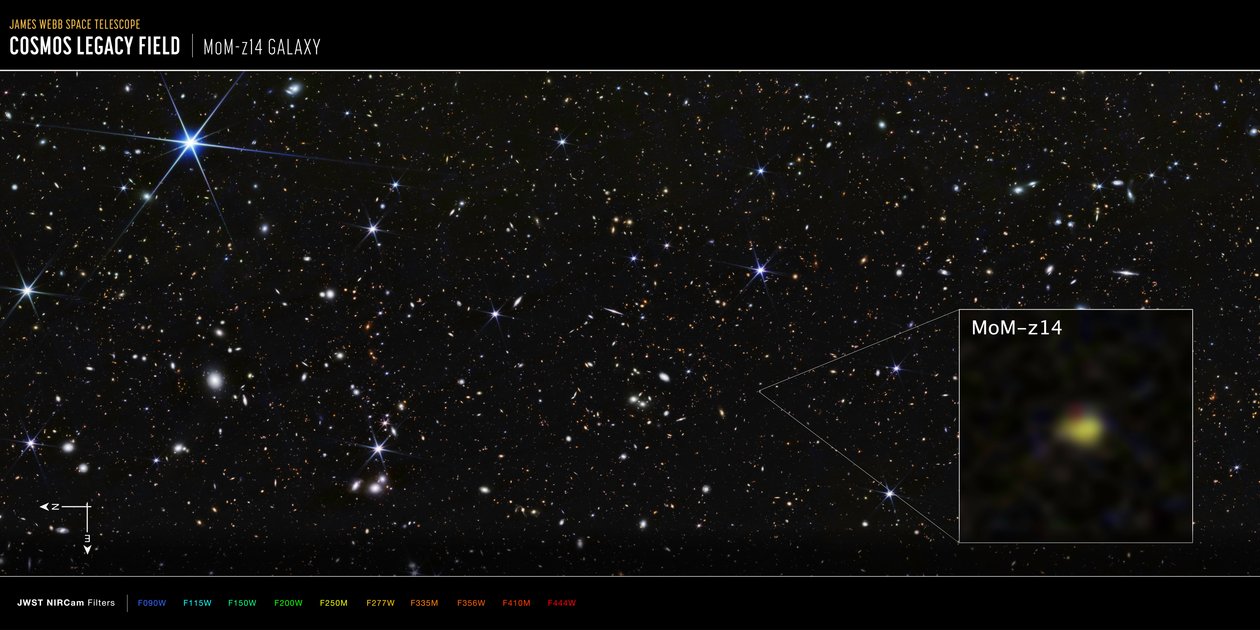 Galaxie MoM-z14 du champ COSMOS (image NIRCam) - James Webb Space Telescope (NASA)