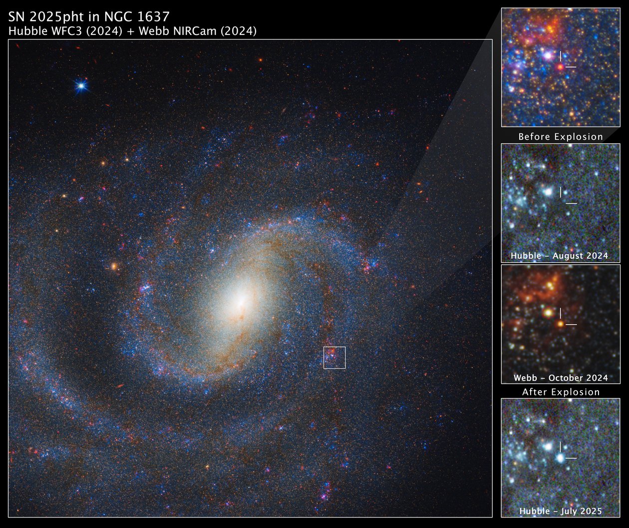 SN 2025pht dans NGC 1637 - James Webb Space Telescope (NASA)
