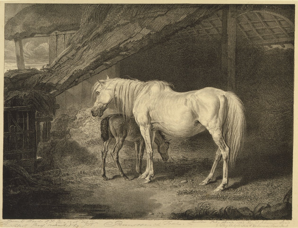 Primevère et poulain, de Chevaux célèbres, une série de quatorze gravures de courses publiées par l