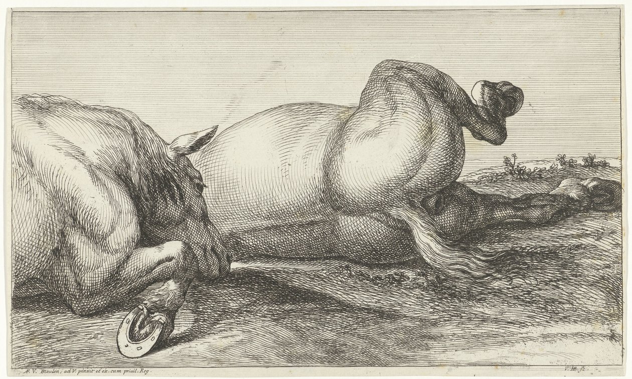 Deux chevaux tués en action couchés en rang - Jan van Huchtenburgh