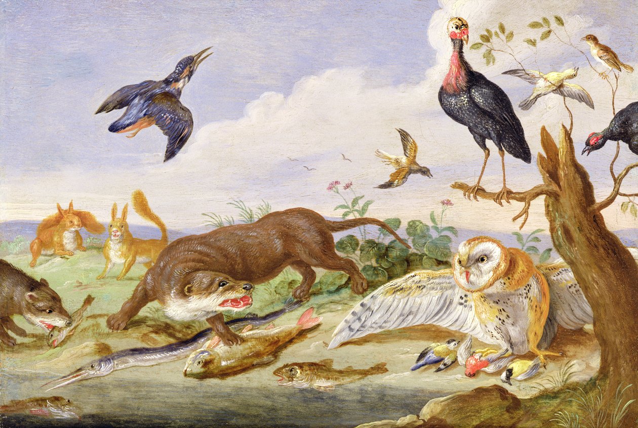 Une loutre et un hibou gardant leurs prises - Jan van Kessel the Elder