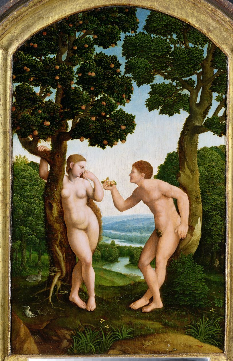 Adam et Ève au Paradis - Jan van Scorel