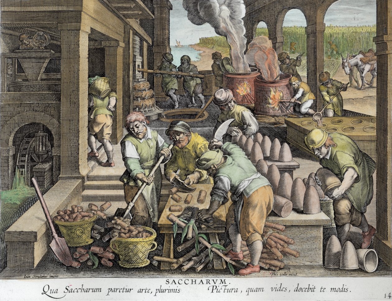 Un moulin à sucre et la production de pains de sucre, planche 14 de 