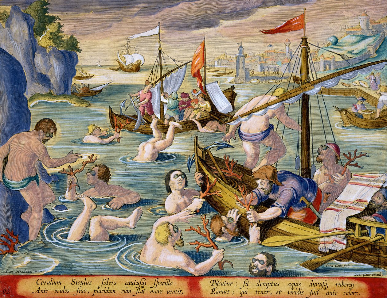 Plongée pour le corail, planche 92 de 