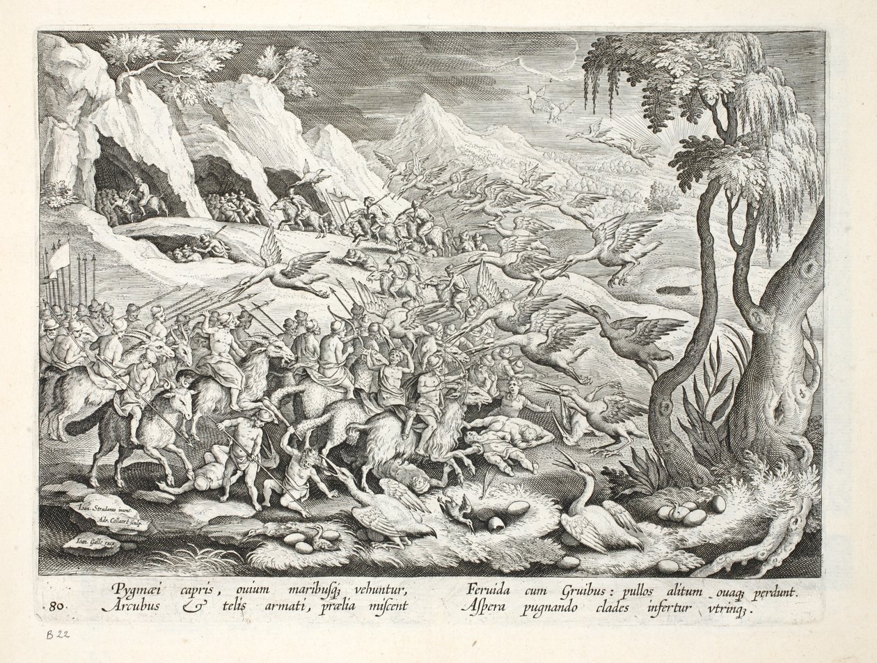 Pygmées sur des chèvres chassant la grue, illustration de 