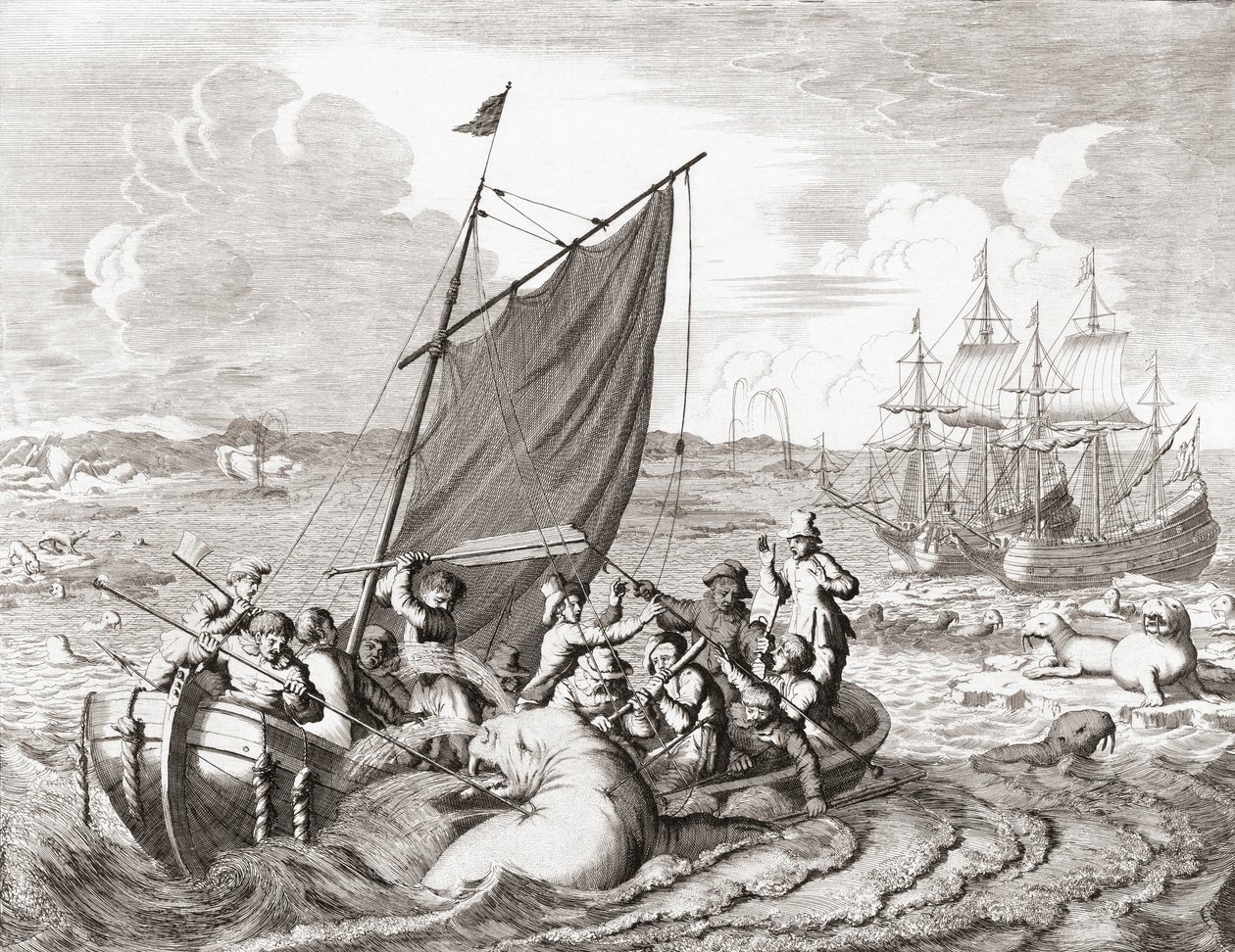 Chasseurs de morses au XVIe siècle - Jan (after) Luyken