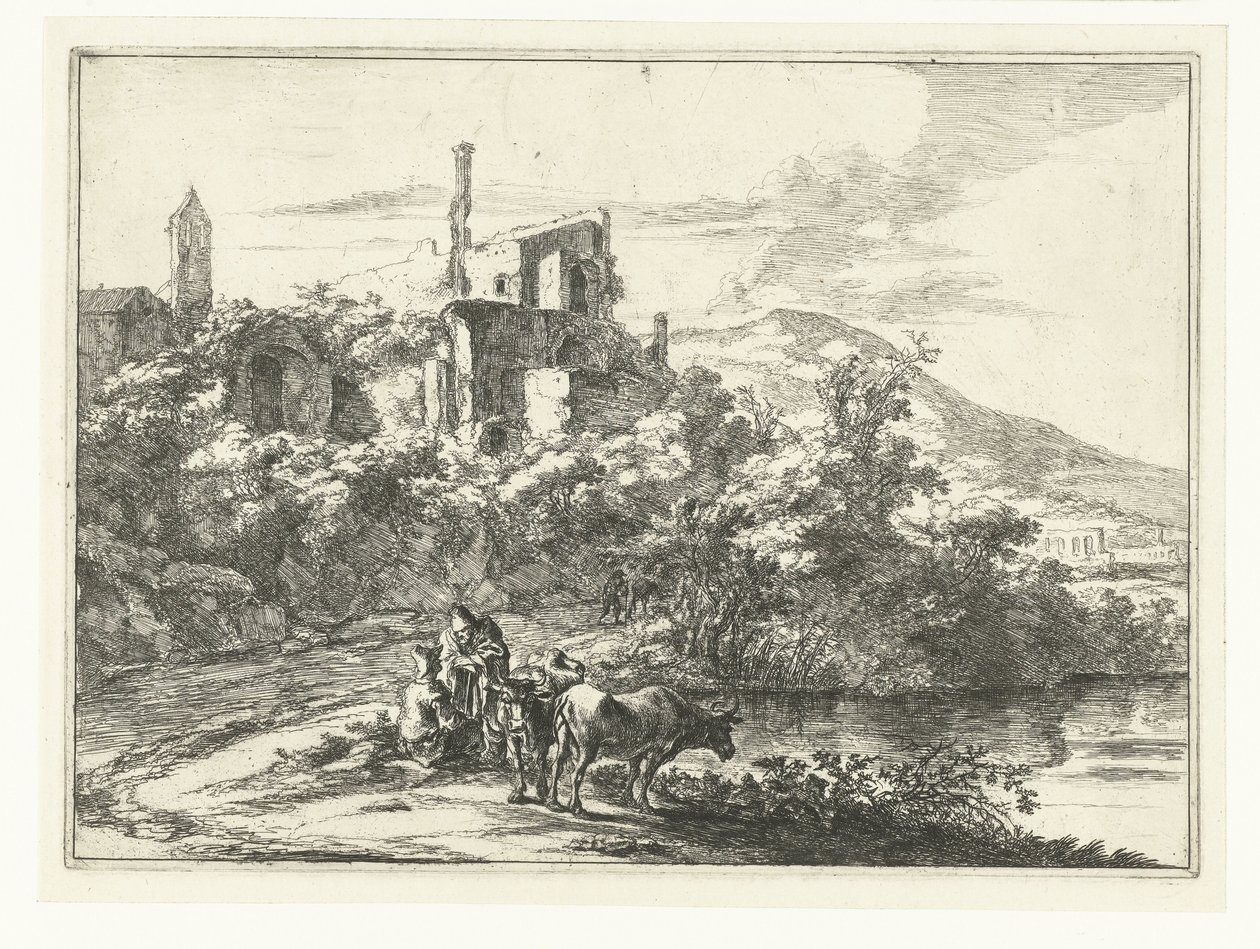 Deux vaches près de l