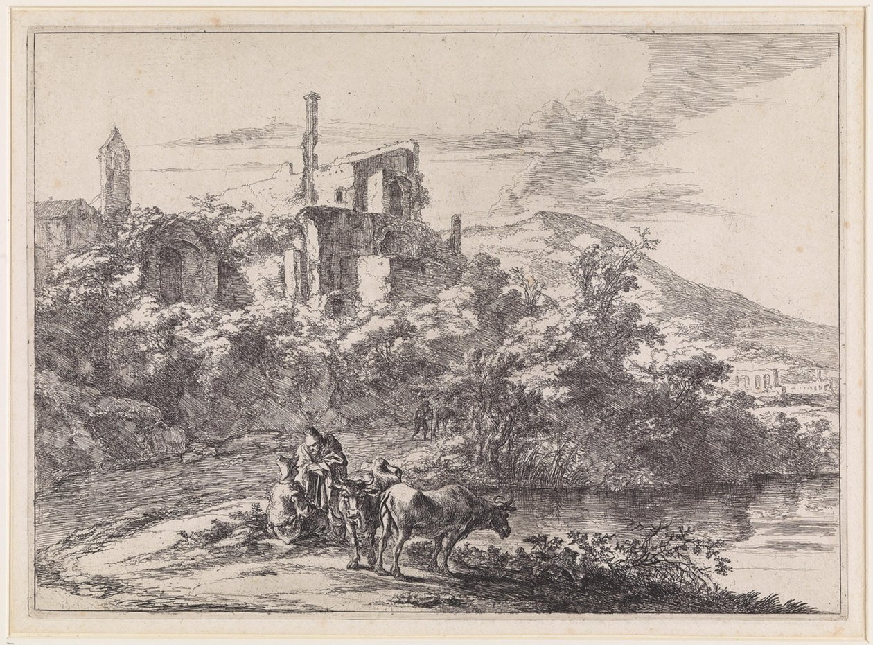 Deux vaches au bord de l