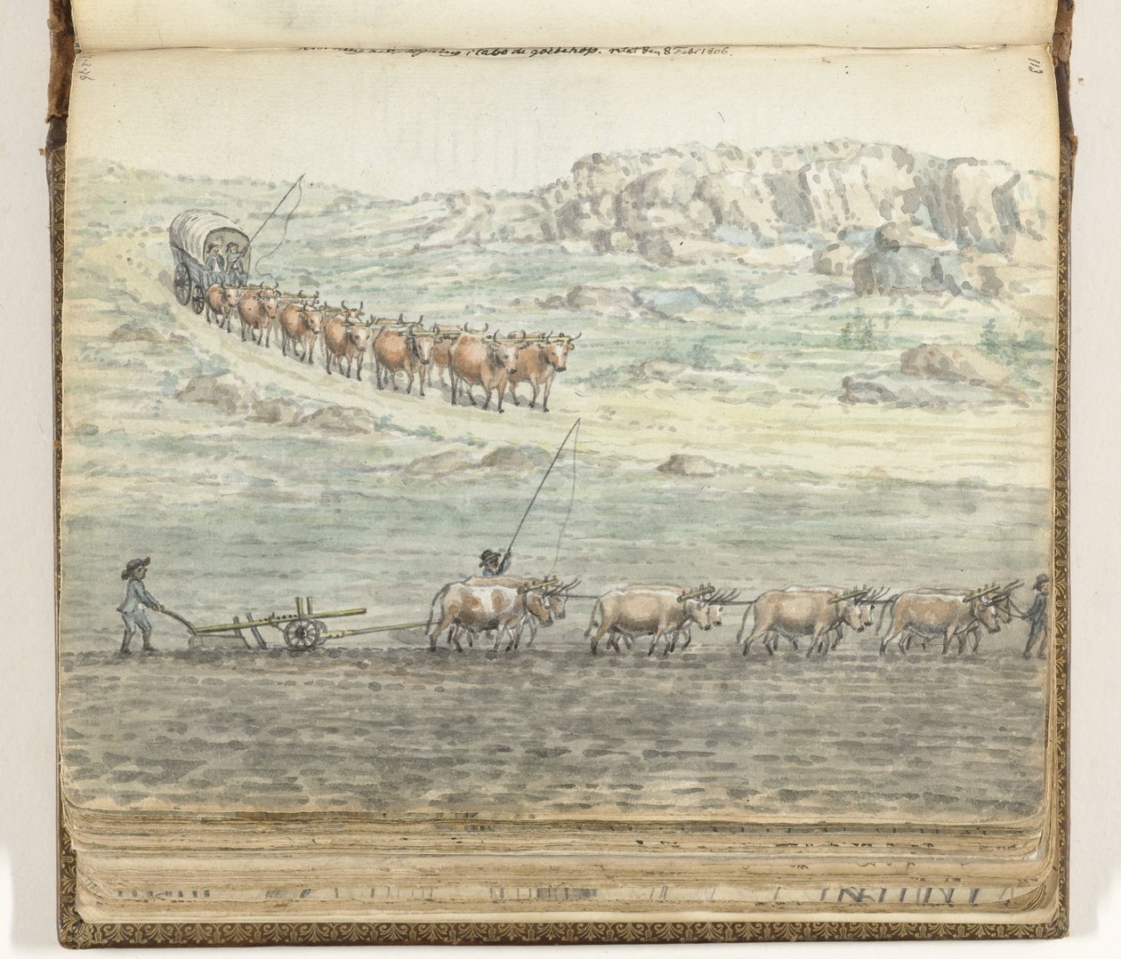 Attelage de bœufs pour chariot et pour charrue - Jan Brandes