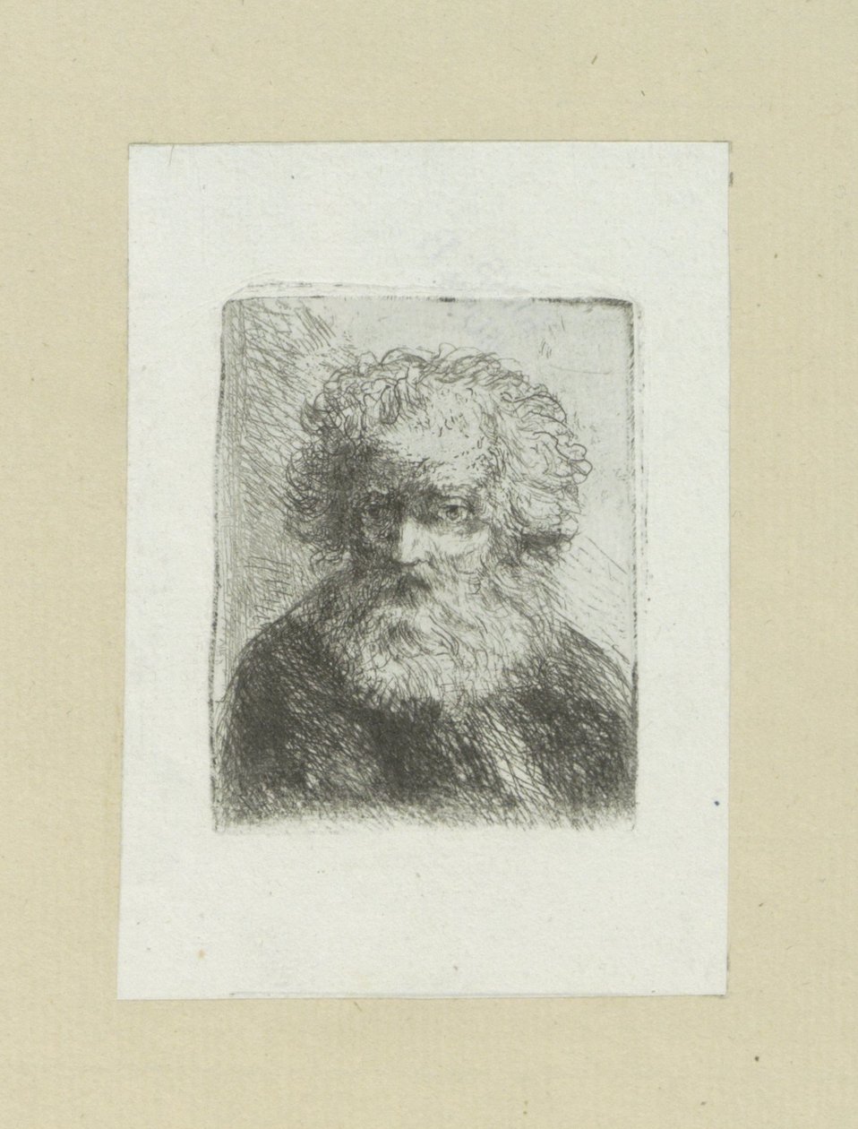 Vieil homme barbu - Jan Chalon