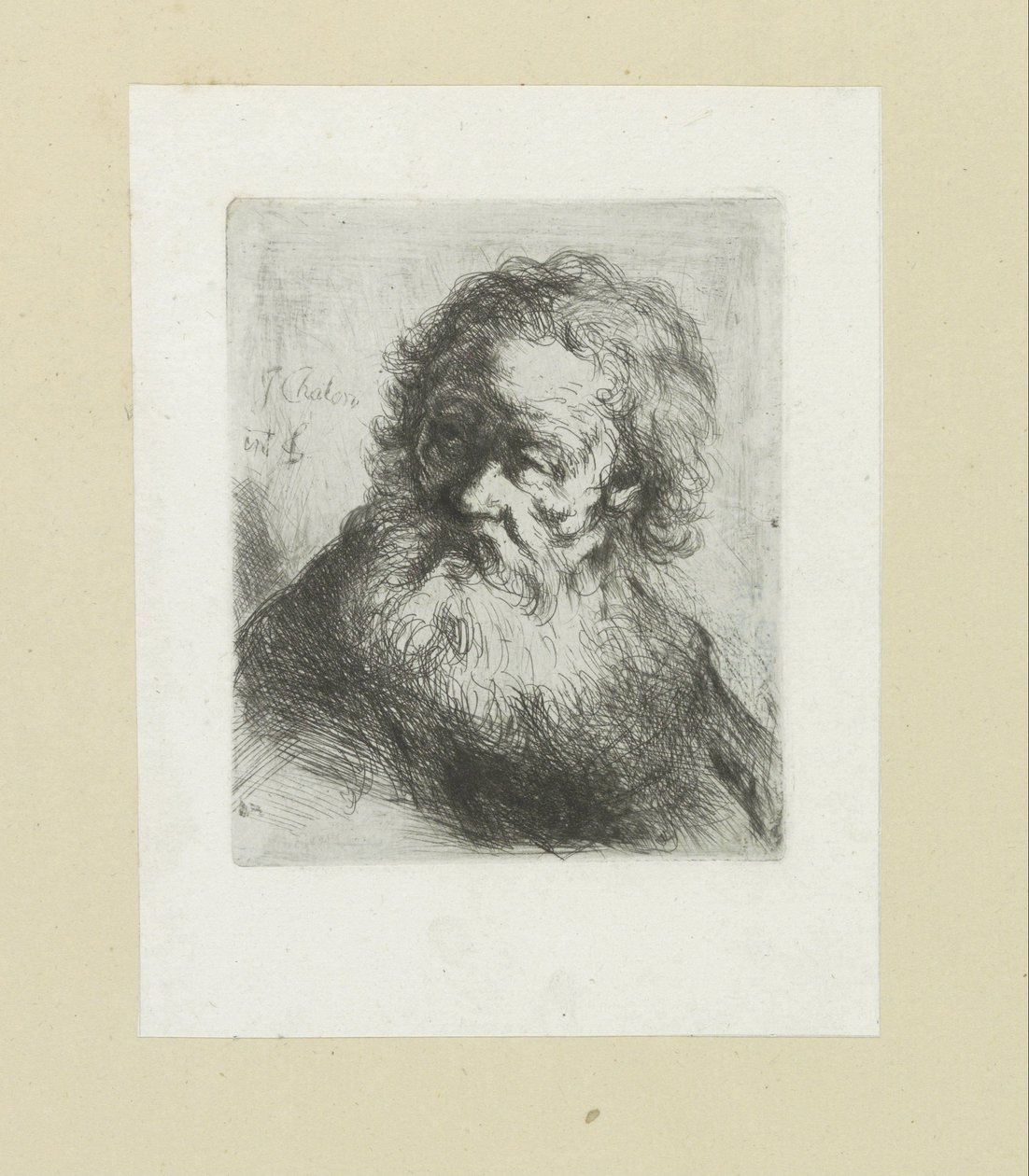 Vieil homme avec une barbe - Jan Chalon