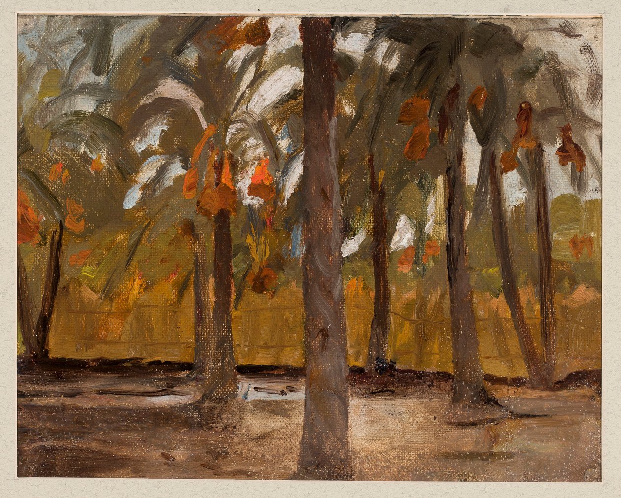 Une palmeraie égyptienne. Extrait d
