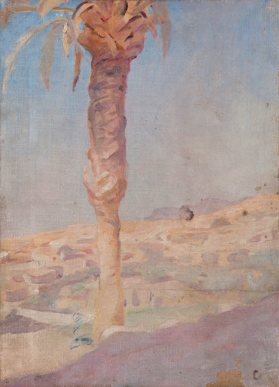 Espagne (Crevillente) - Jan Ciągliński