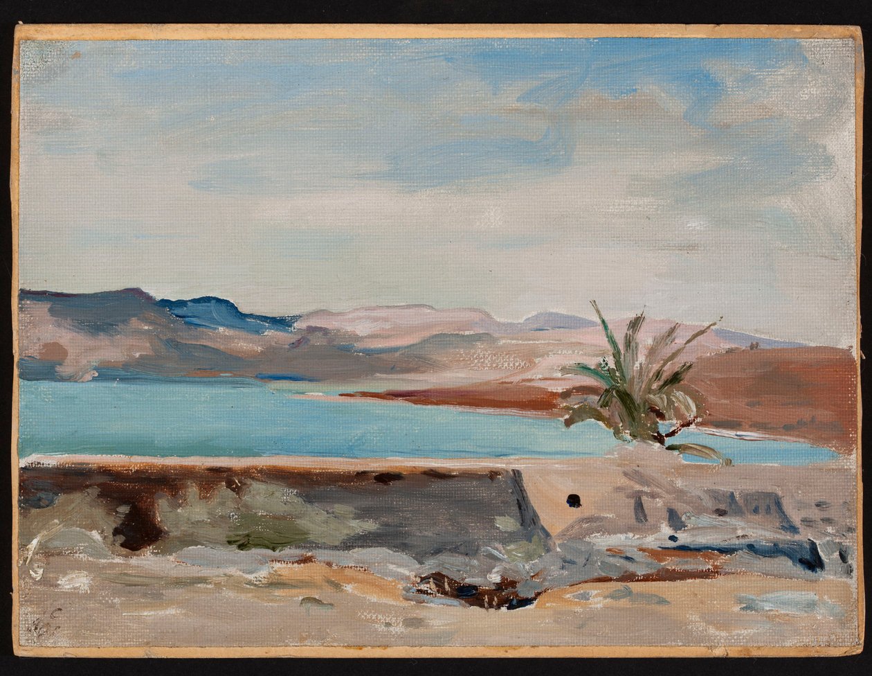 Capernaüm, au bord du lac de Tibériade. Extrait d