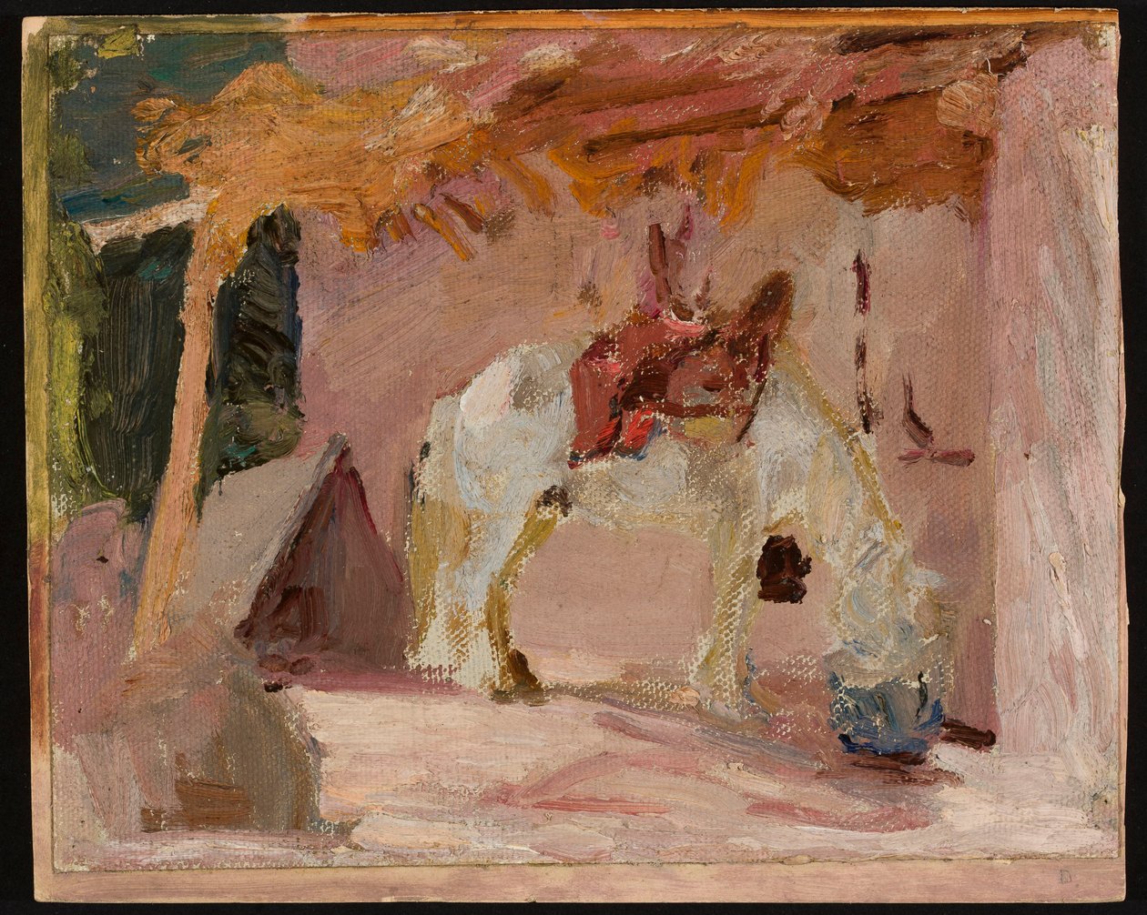 Pferd. Aus der Reise nach Turkestan - Jan Ciągliński