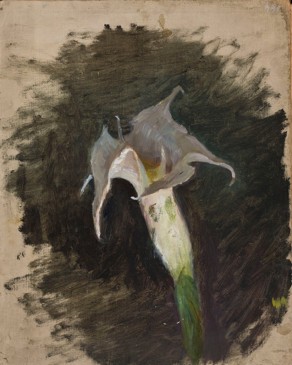 Fleur - Jan Ciągliński