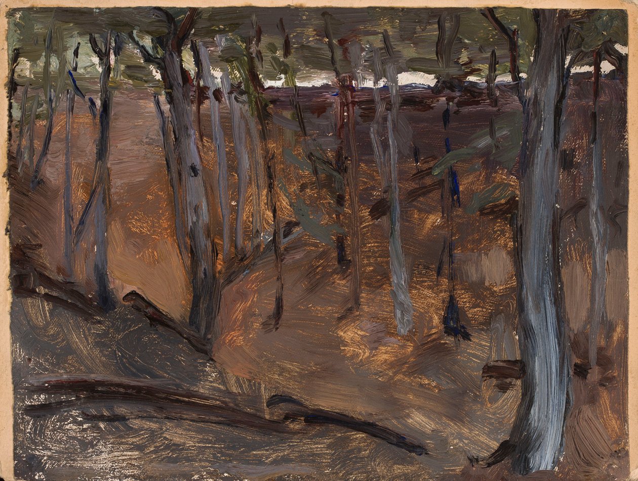 Forêt - Finlande - Jan Ciągliński