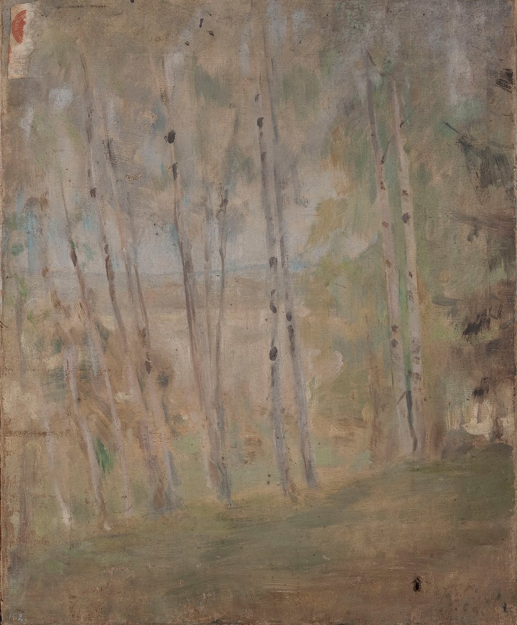 Mariino - petits bouleaux - Jan Ciągliński