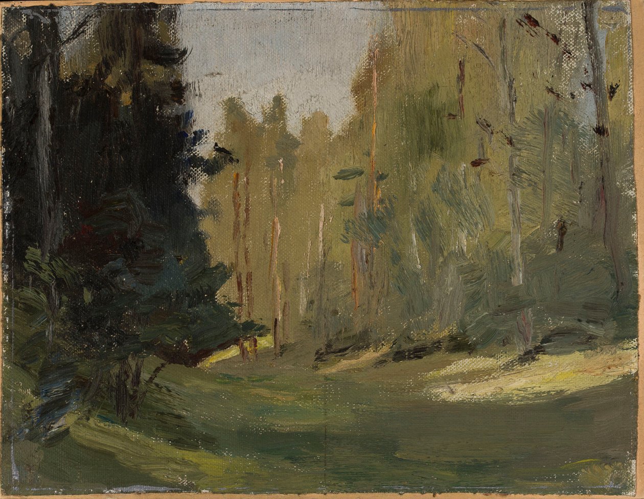 Mariino - Clairière dans la forêt - Jan Ciągliński