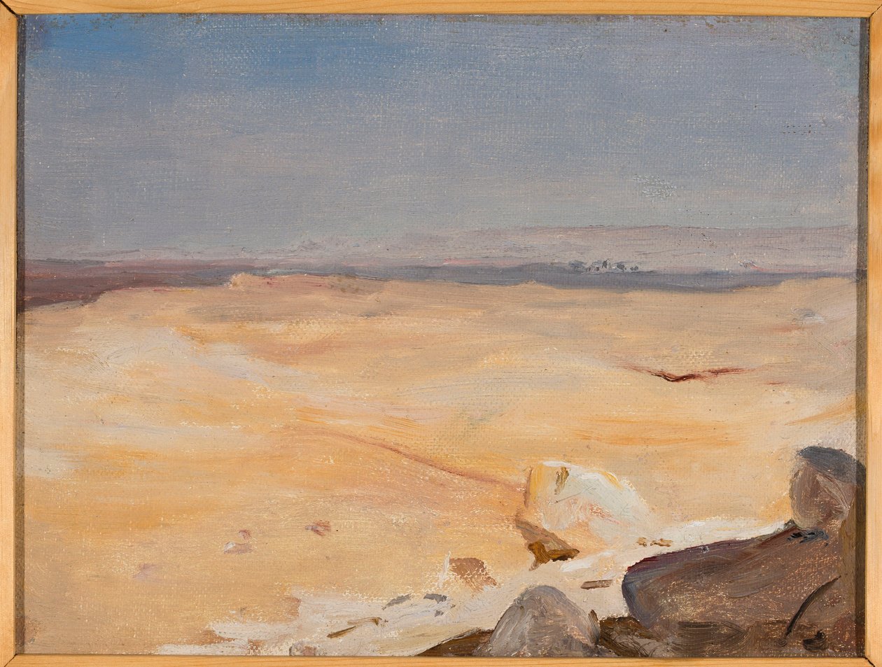 Motif du désert. D
