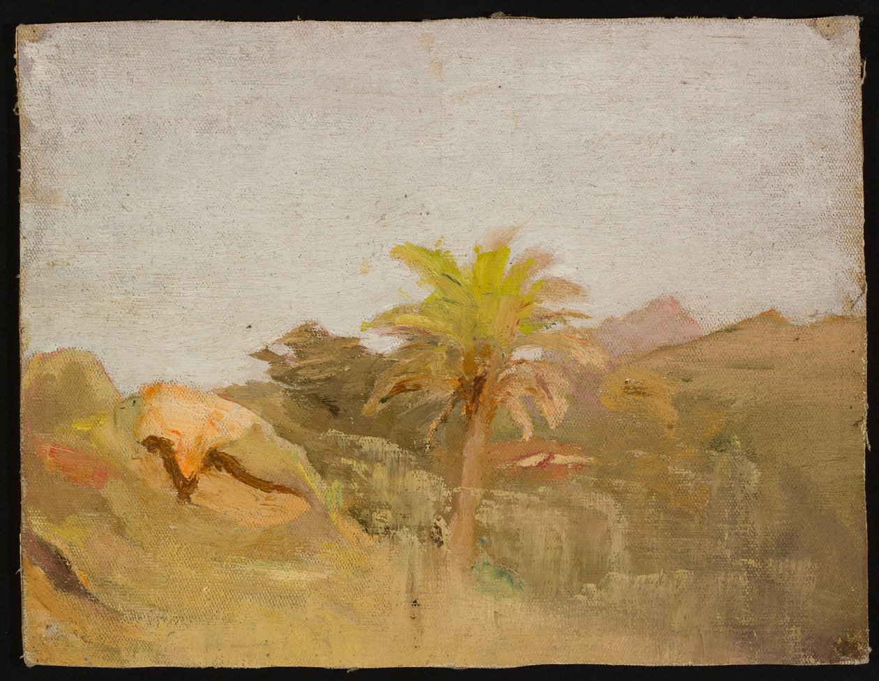 Palme auf Ceylon. Aus einer Reise nach Indien - Jan Ciągliński