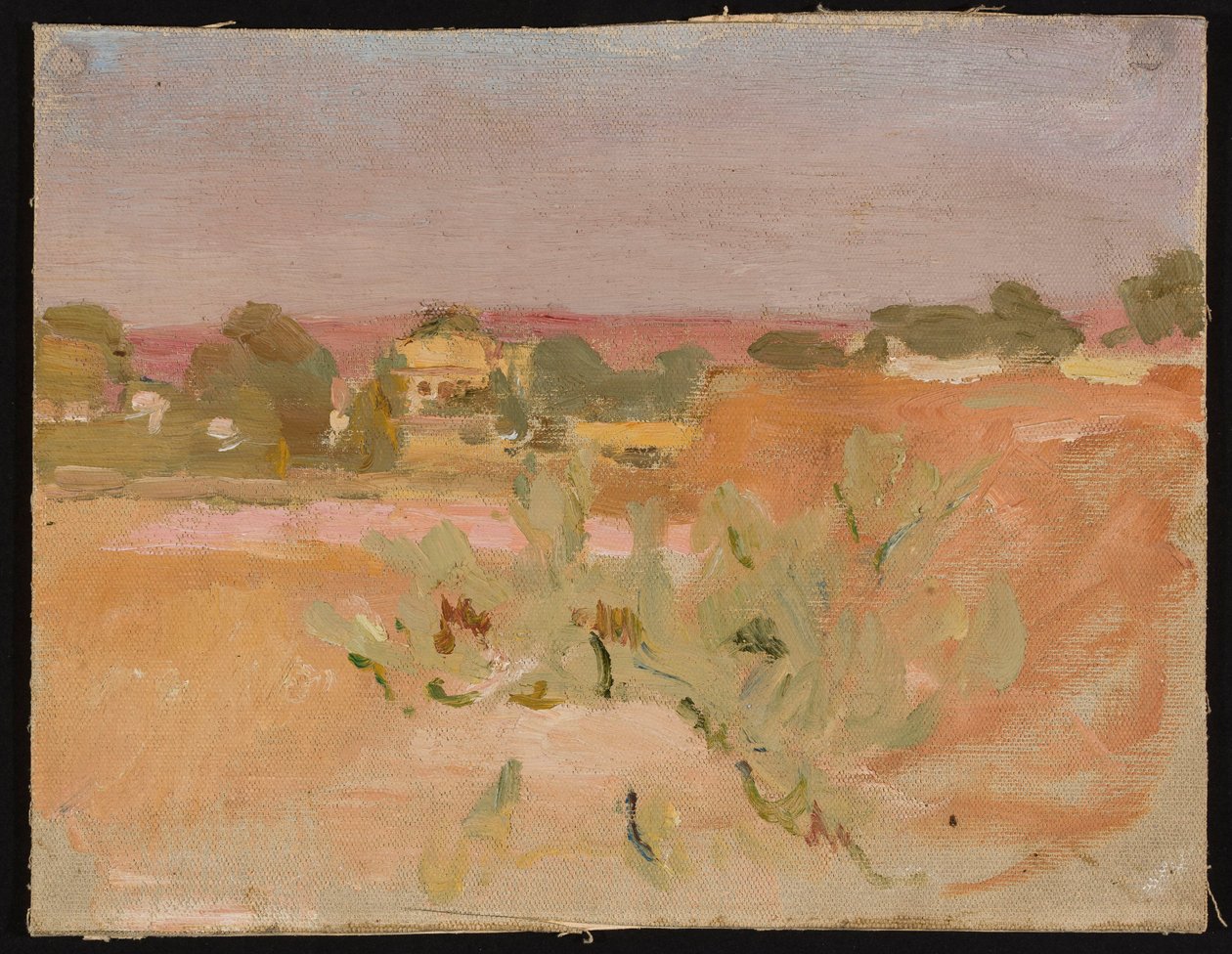 Rosa Landschaft mit Kakteen. Aus einer Reise nach Indien - Jan Ciągliński