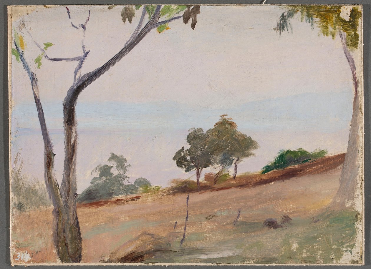 Paysage avec des arbres. D