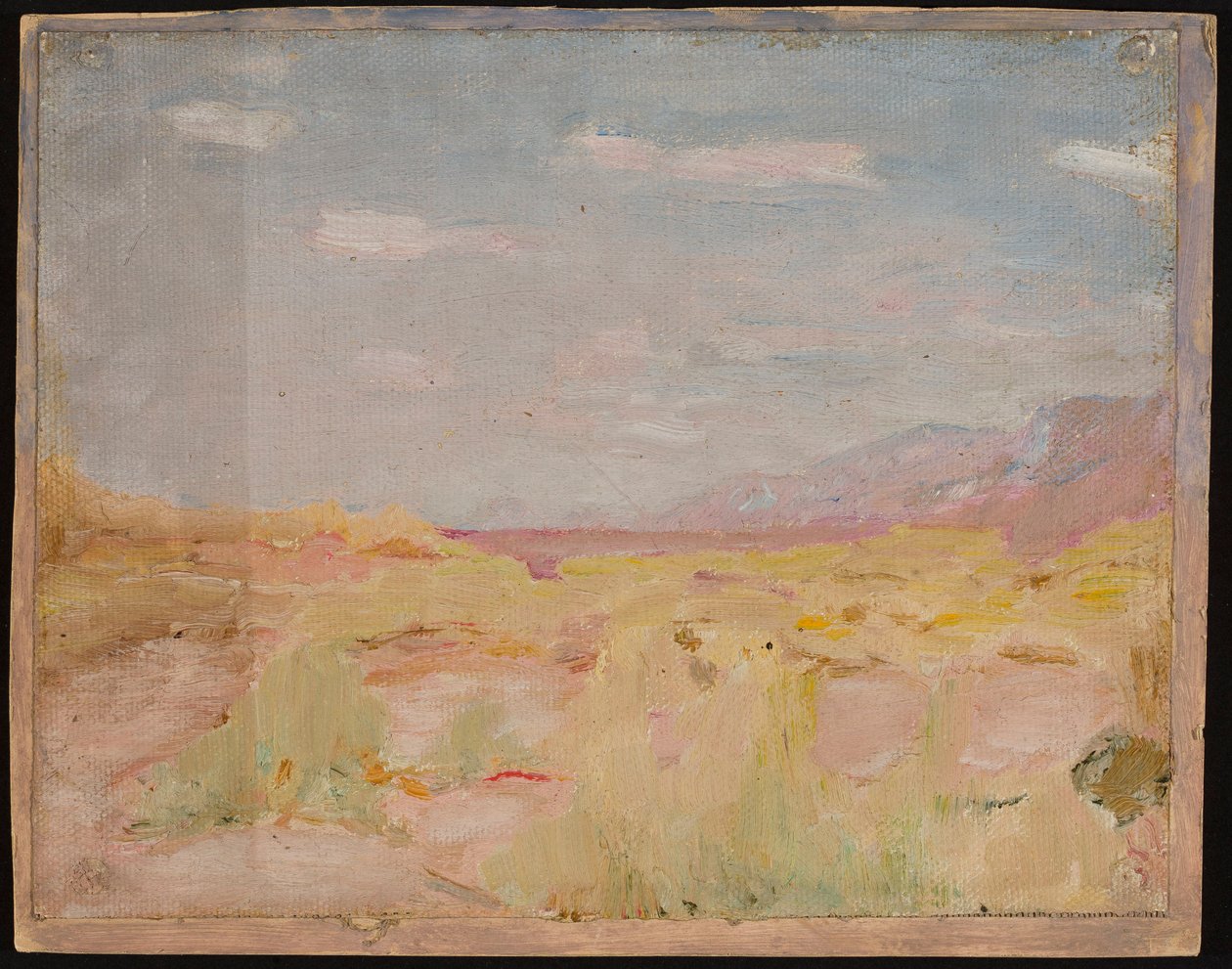 Steppe (région transcaspienne). D