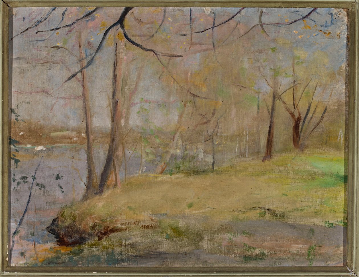 Études à Marijno - Jan Ciągliński