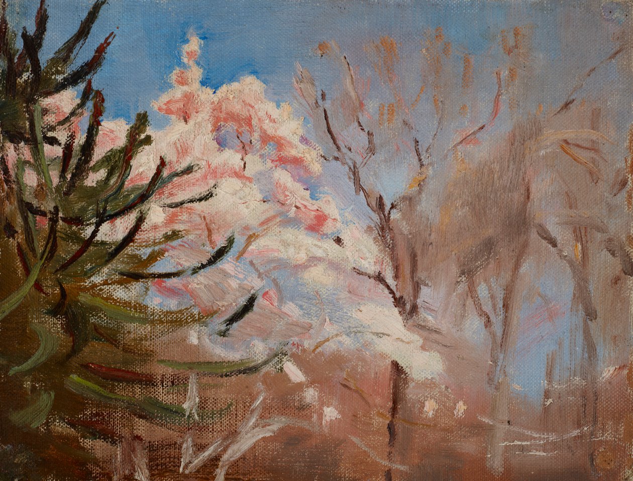 Le brochet (printemps) - Jan Ciągliński