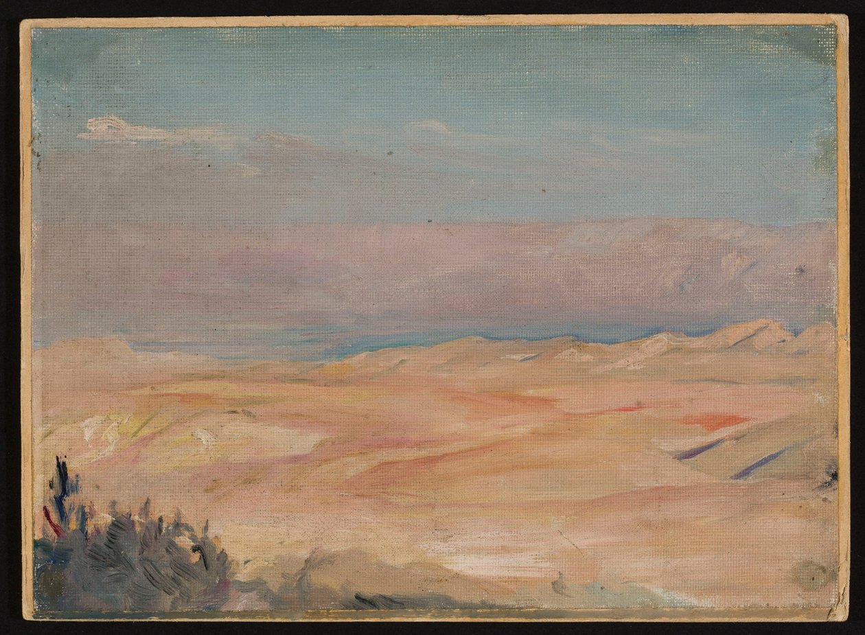 Vue depuis le mont des Oliviers. D