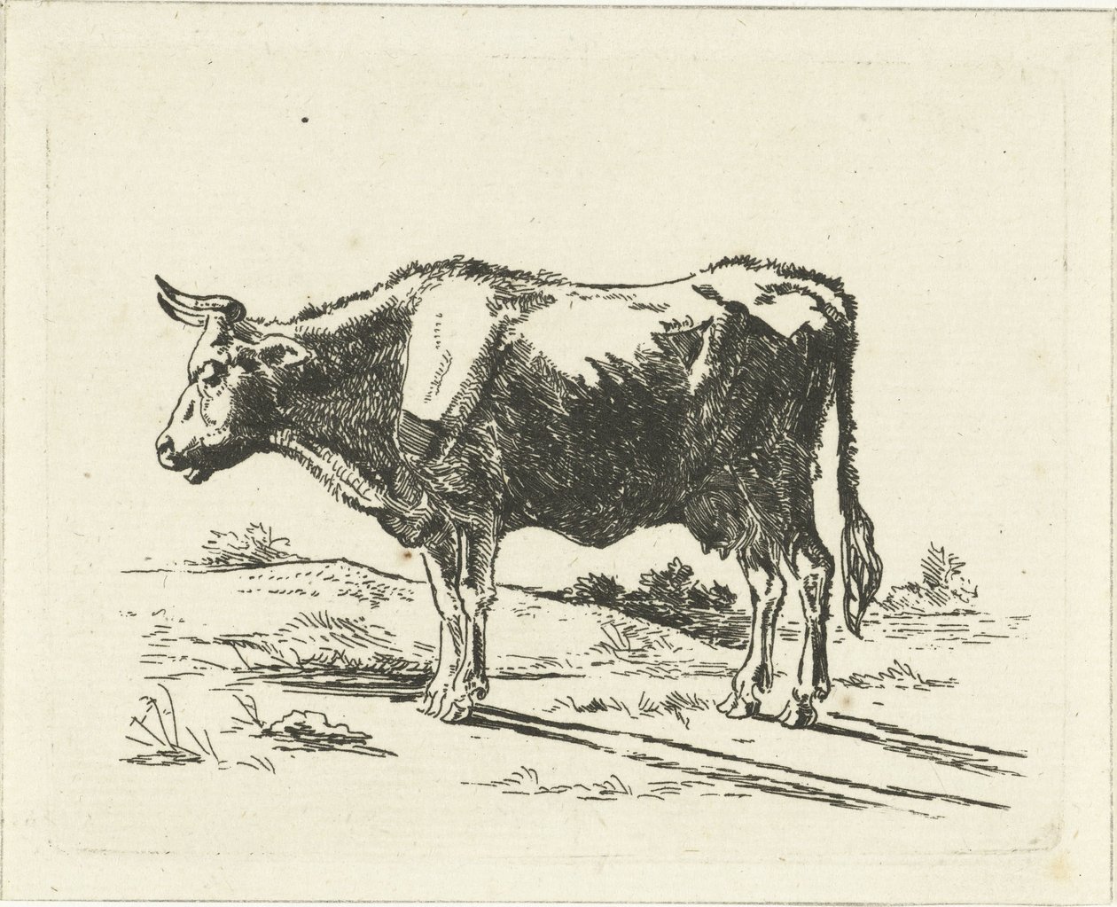 Vache debout - Jan Dasveldt