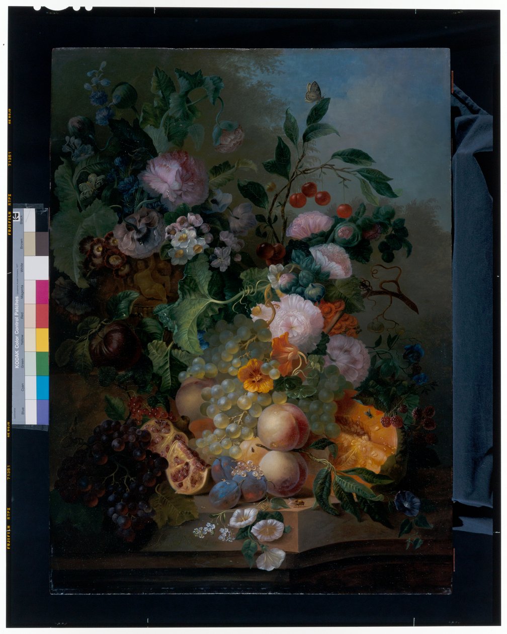 Nature morte avec des fleurs, des poires, des raisins, des cerises, un melon et des papillons - Jan Evert Morel