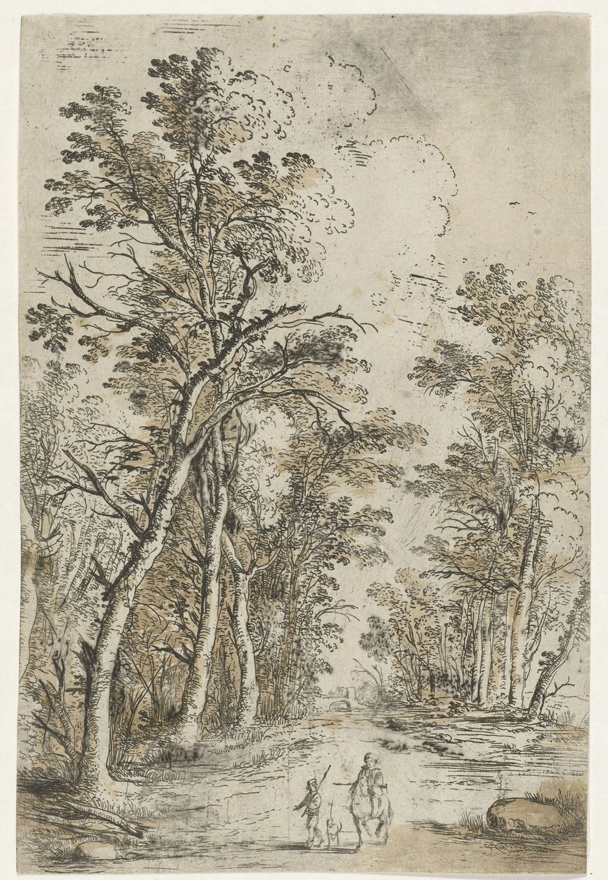 Sentier forestier - Jan Fouceel