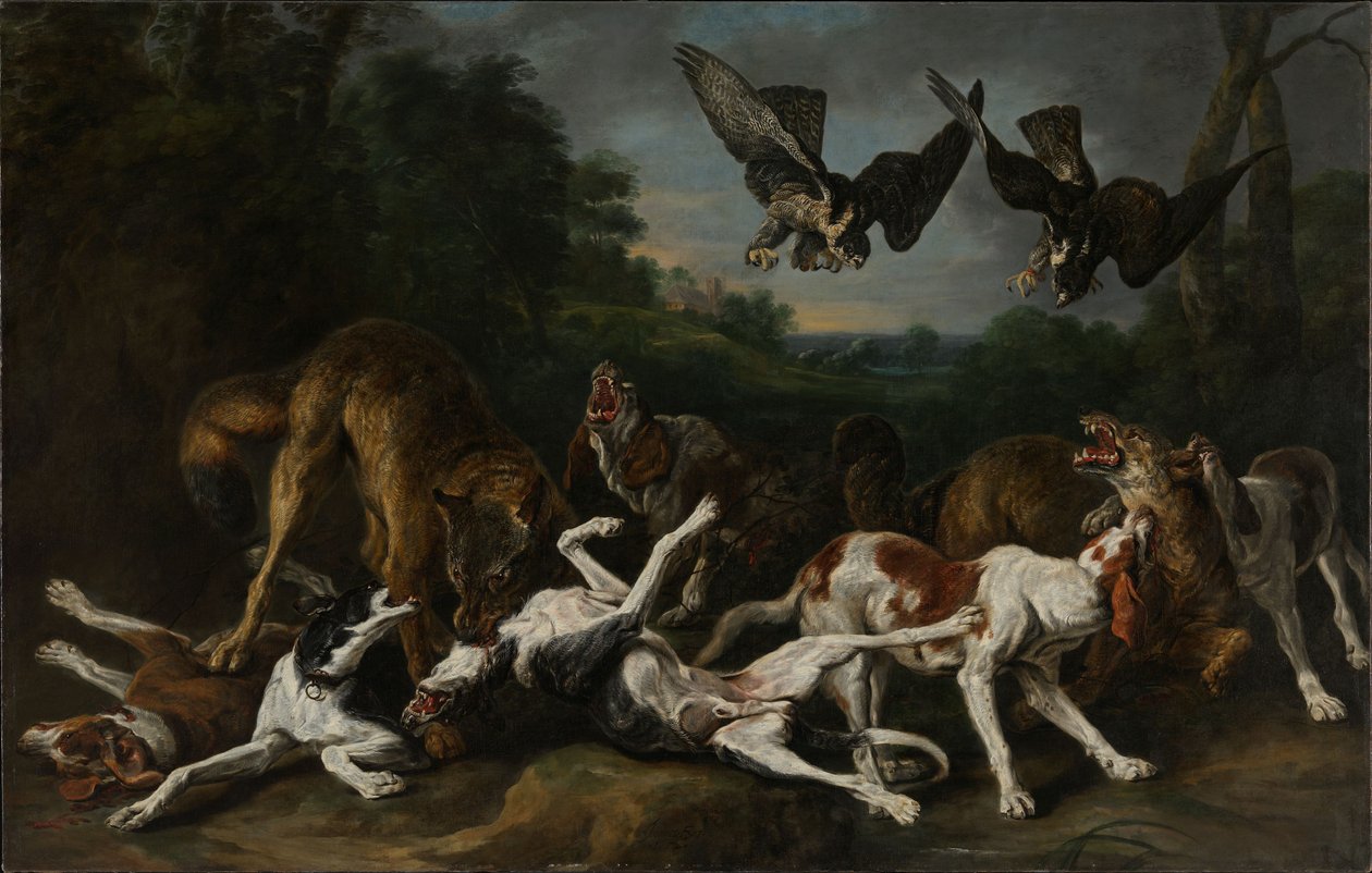 Combat entre des chiens et des loups - Jan Fyt