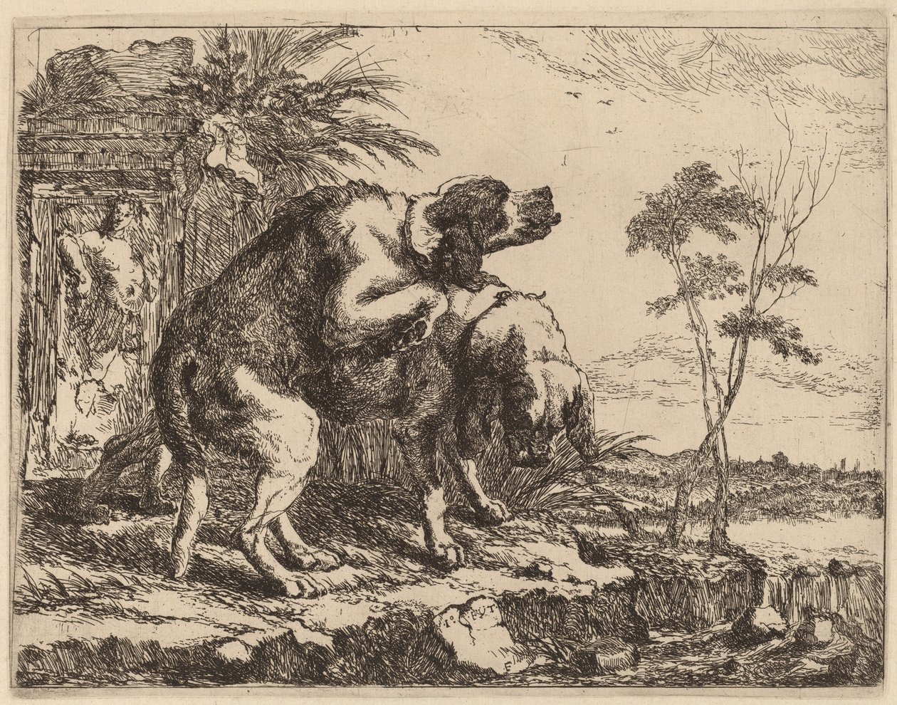 Deux chiens copulant - Jan Fyt