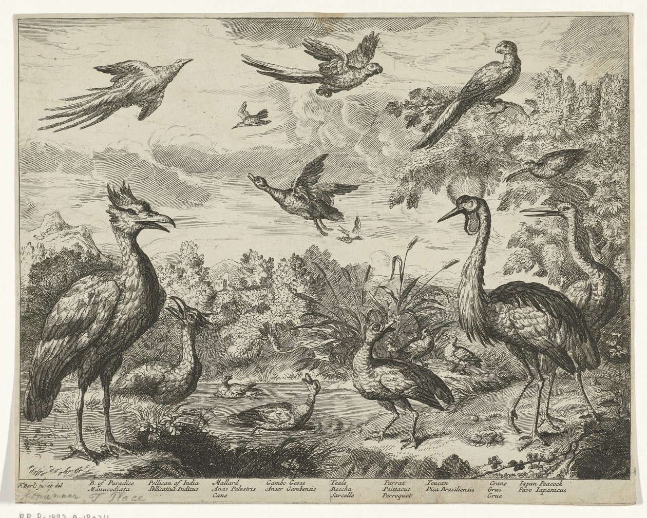 Différents oiseaux dans un paysage - Jan Griffier (I) (copy after)
