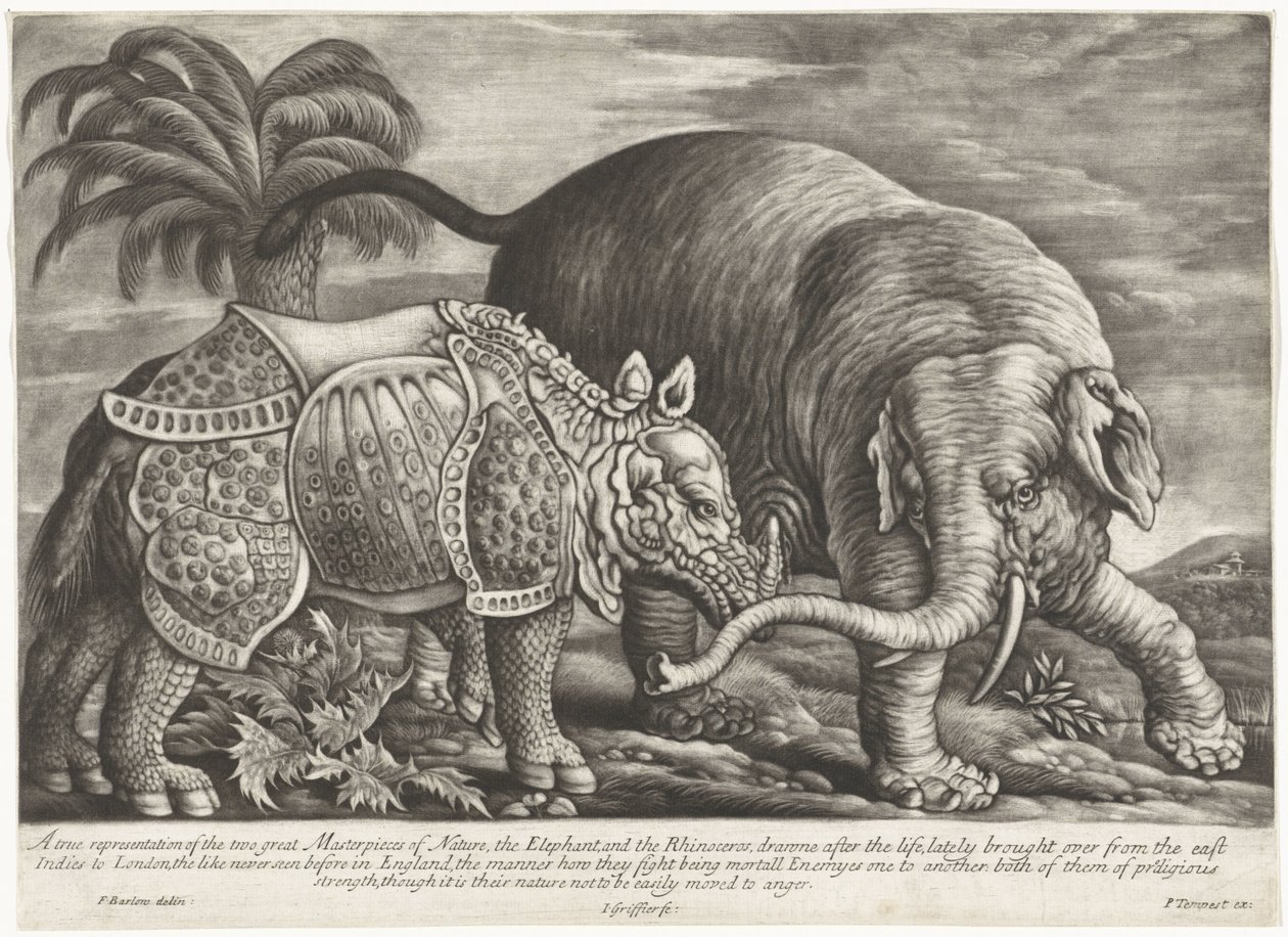 Éléphant et rhinocéros - Jan Griffier (I)