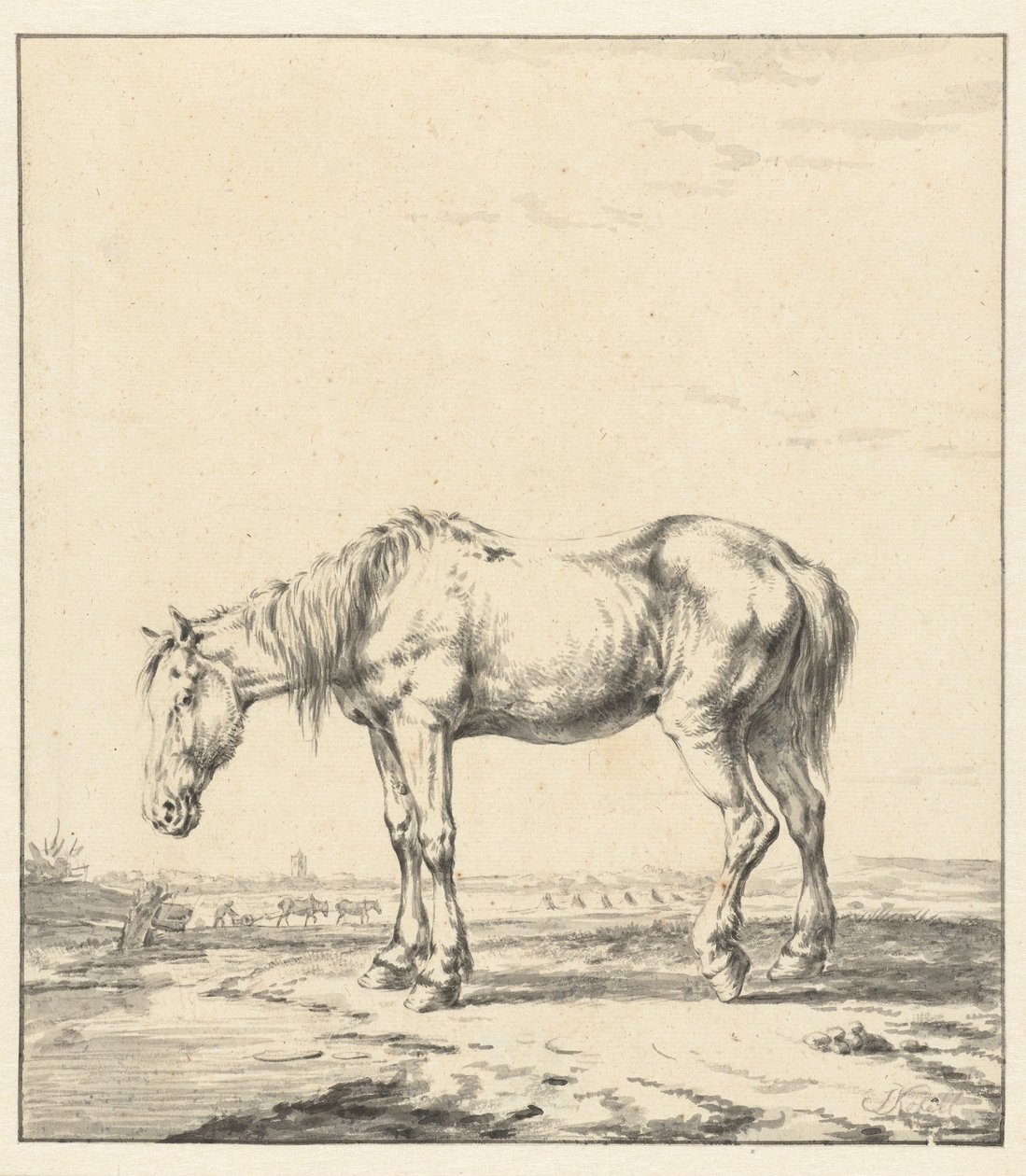 Vieux cheval debout près de l