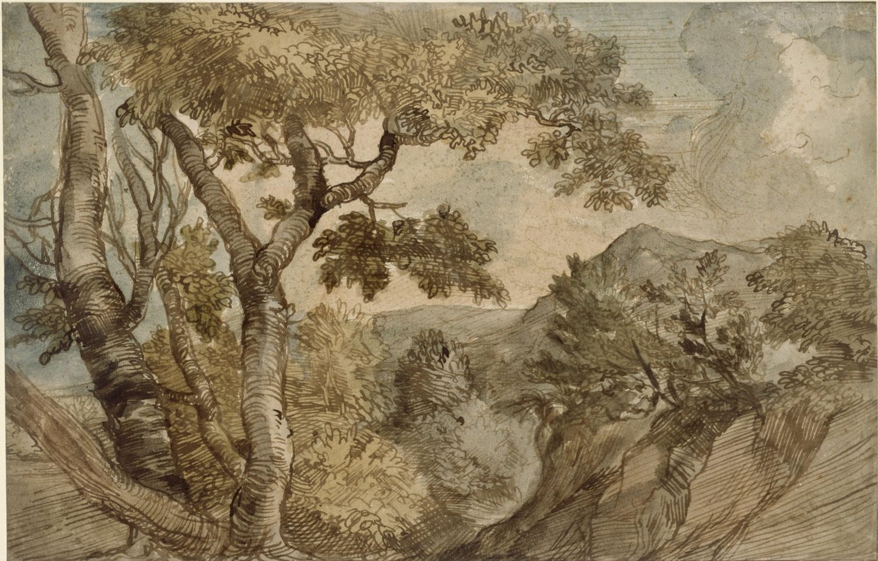 Paysage montagneux avec groupe d