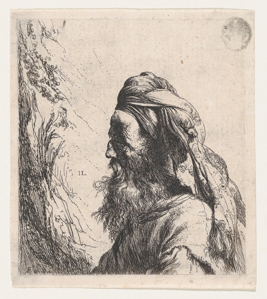 Homme au turban tourné vers la gauche - Jan Lievens