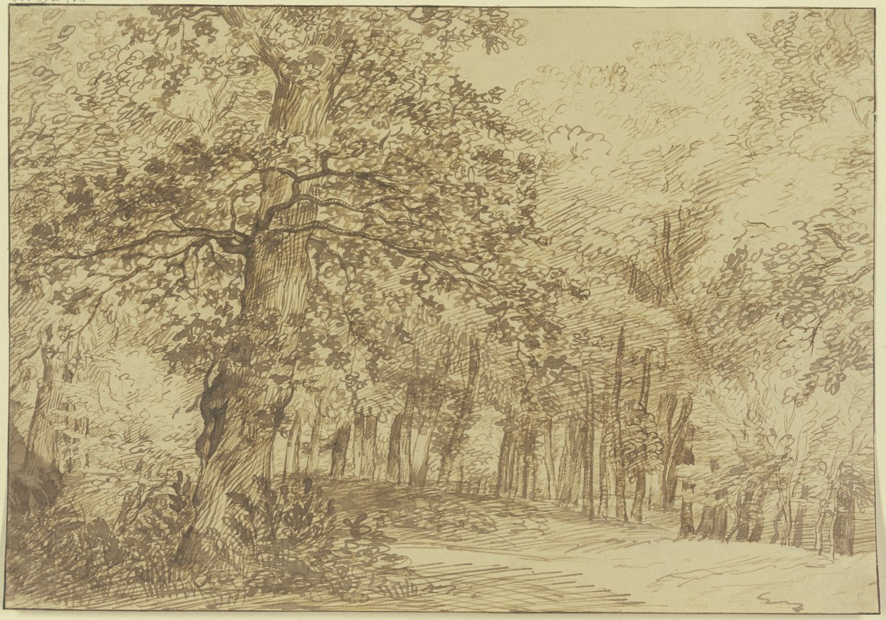 Une partie de la forêt ; à gauche du chemin, un grand chêne - Jan Lievens